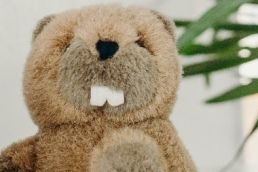 Kindertagesklinik BIBER