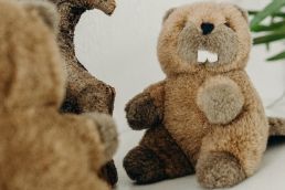 Kindertagesklinik BIBER