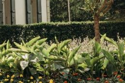 Notfallzentrum NZKJP