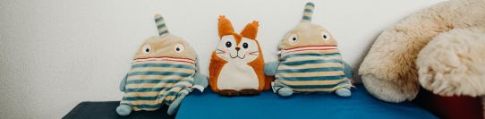 AKI-KJP Ambulante psychiatrische Krisenintervention für Kinder und Jugendliche