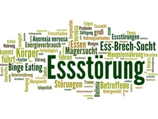Therapiezentrum Essstörungen