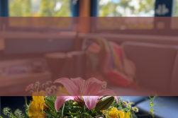 Tagesklinik Gemeindepsychiatrisches Zentrum (GPZ)