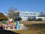 Das Image der UPD in der Öffentlichkeit