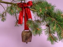 Adventsausstellung der Gärtnerei UPD vom 20. November bis 17. Dezember 2025