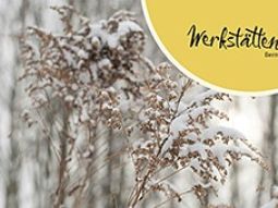 Newsletter der Werkstätten Bern: Vom Herbstlaub zum Weihnachtsbaum 