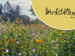 News aus den Werkstätten Bern 