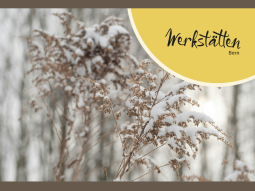 Newsletter der Werkstätten Bern: Vom Herbstlaub zum Weihnachtsbaum 