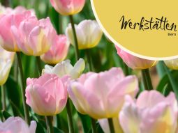 Newsletter Werkstätten Bern 