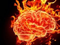 brain on fire - Können Entzündungen Schizo-phrenie verursachen?