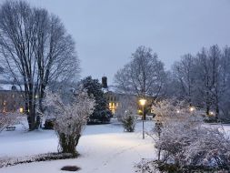 Winterdepression oder wenn der Winterblues auf die Stimmung drückt
